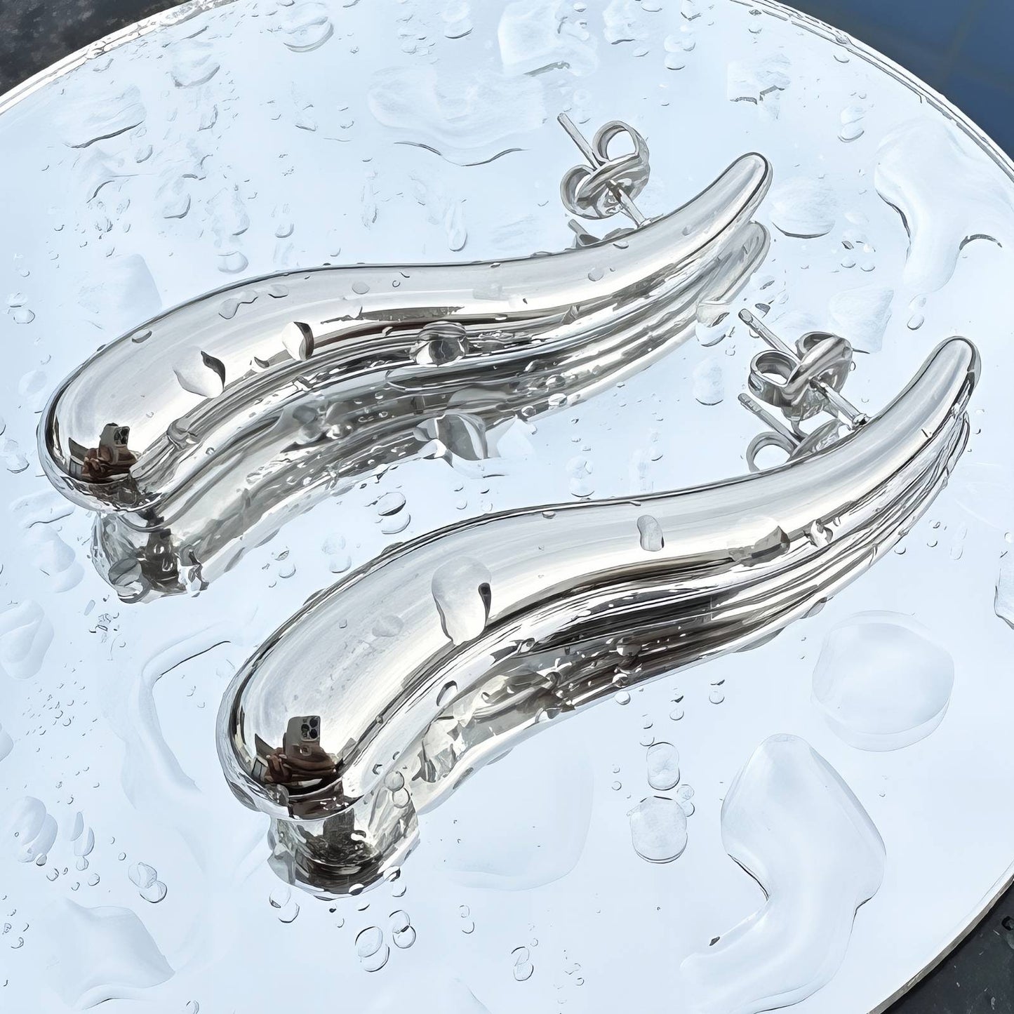 Stainless steel earrings