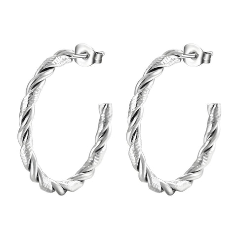 Stainless steel earrings