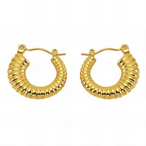 18K gold plated Stainless steel earrings