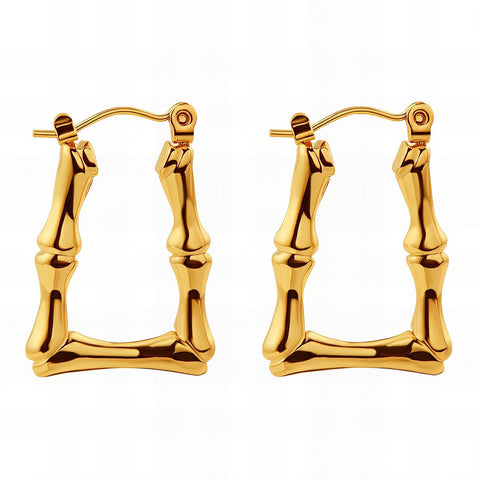 18K gold plated Stainless steel earrings