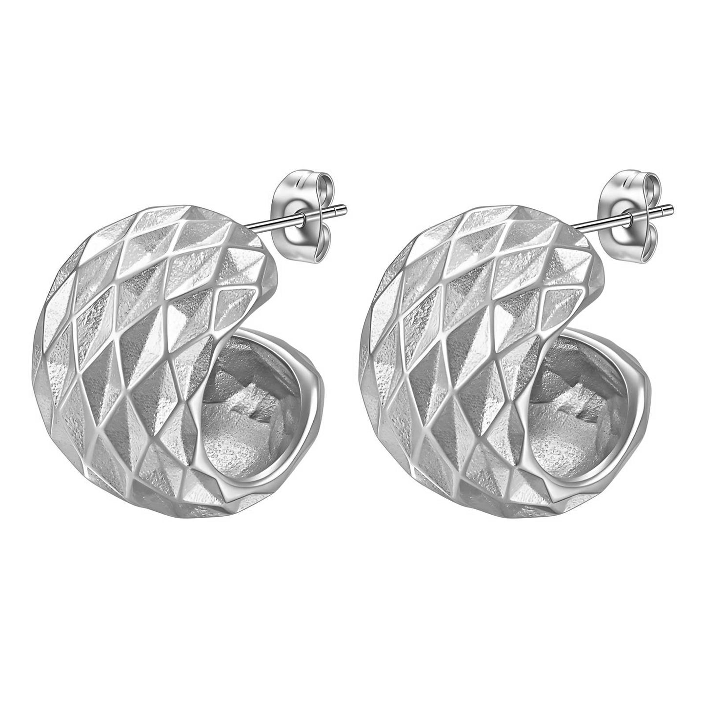 Stainless steel earrings