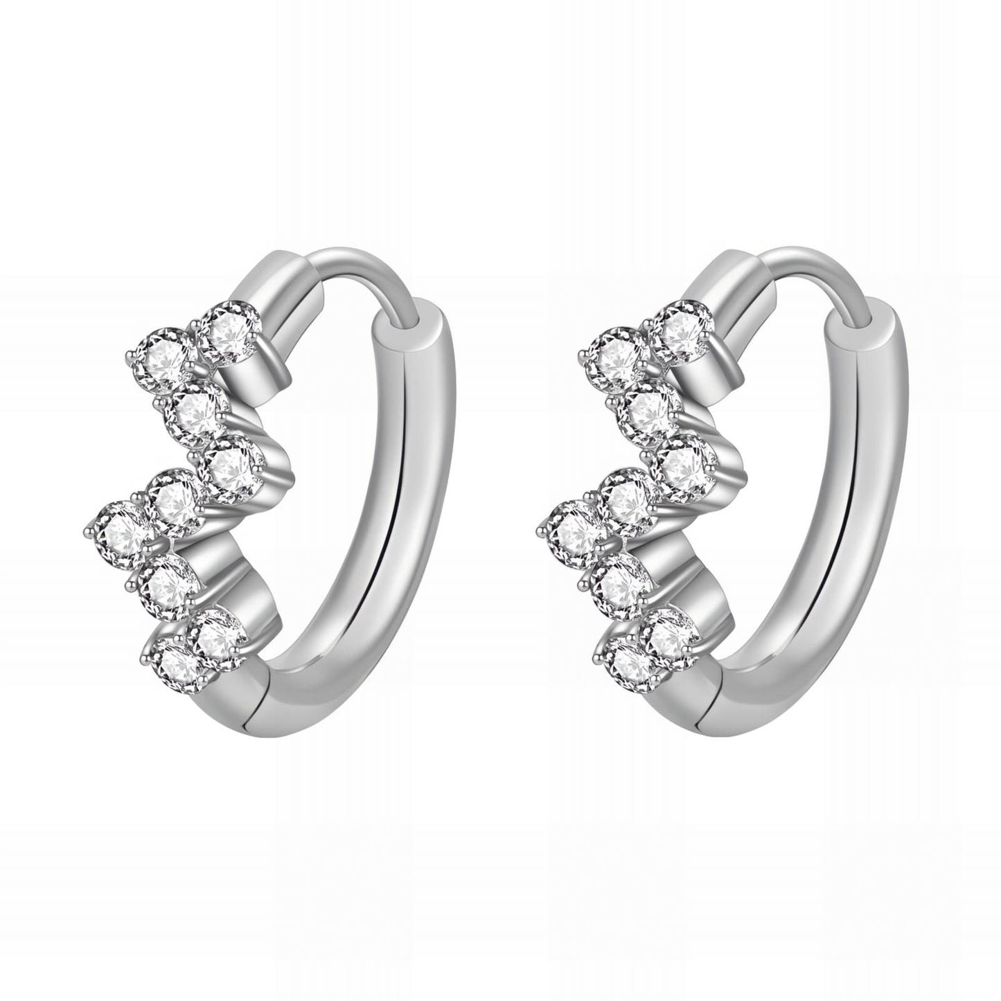 Stainless steel earrings