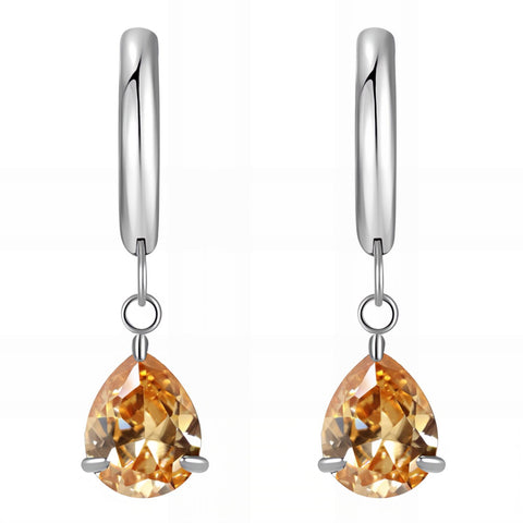 Stainless steel earrings