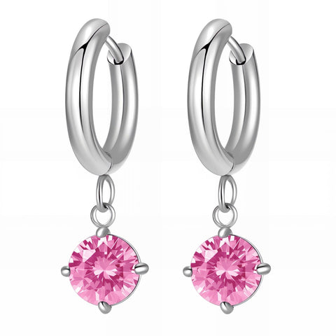 Stainless steel earrings