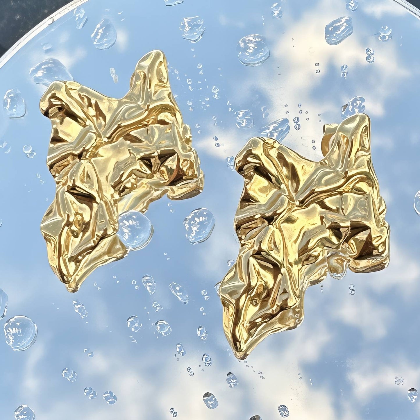 18K gold plated Stainless steel earrings