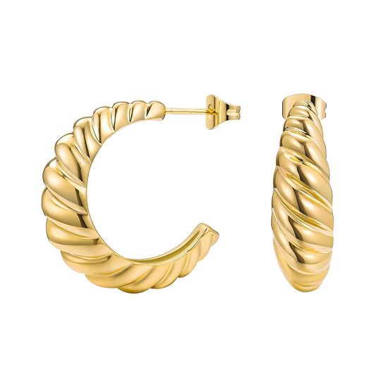 18K gold plated Stainless steel earrings