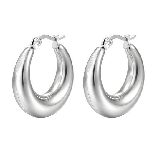 Stainless steel earrings