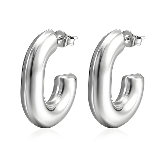 Stainless steel earrings