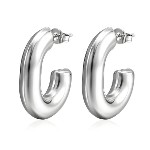 Stainless steel earrings
