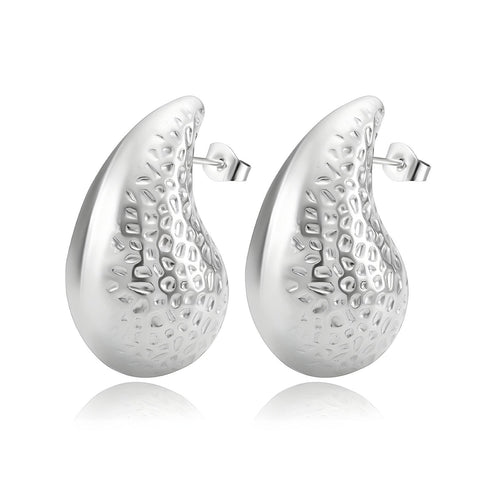 Stainless steel  Teardrops earrings