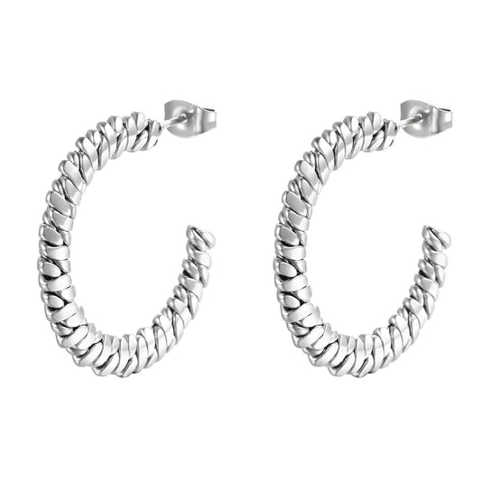 Stainless steel earrings