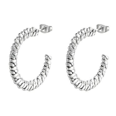 Stainless steel earrings