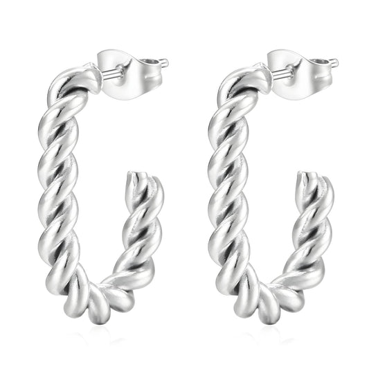 Stainless steel earrings