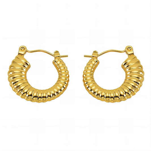 18K gold plated Stainless steel earrings
