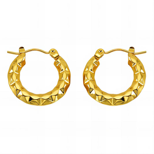 18K gold plated Stainless steel earrings