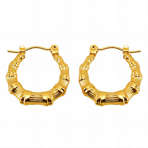18K gold plated Stainless steel earrings