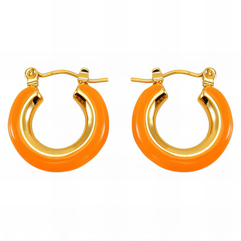 18K gold plated Stainless steel earrings