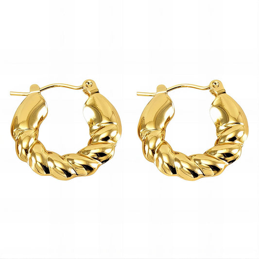 18K gold plated Stainless steel earrings