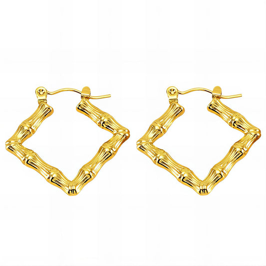 18K gold plated Stainless steel earrings