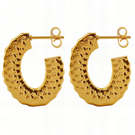 18K gold plated Stainless steel earrings