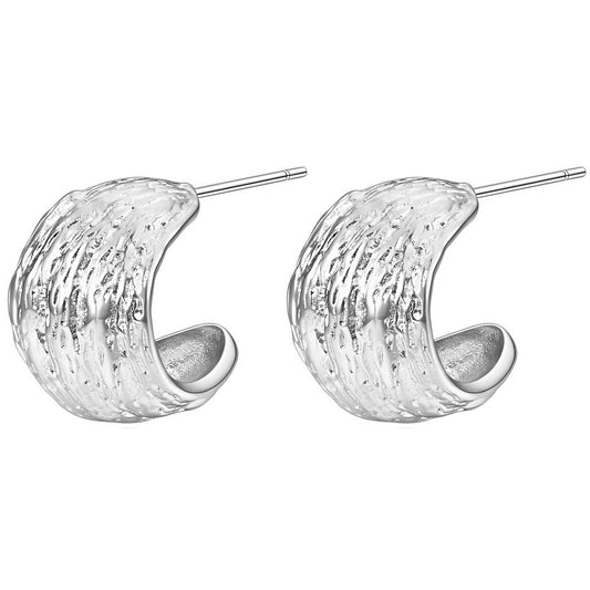 Stainless steel earrings