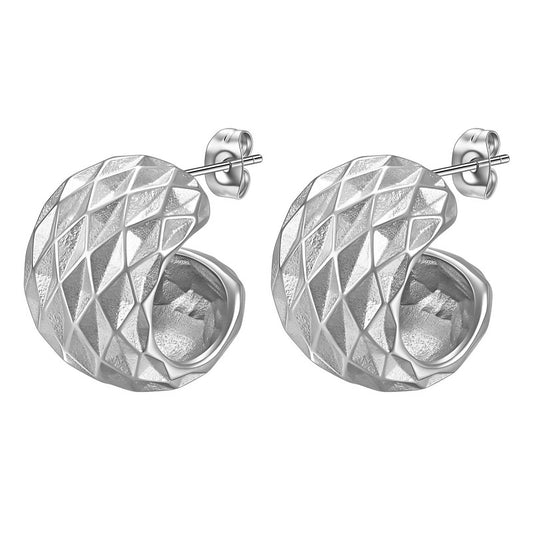 Stainless steel earrings