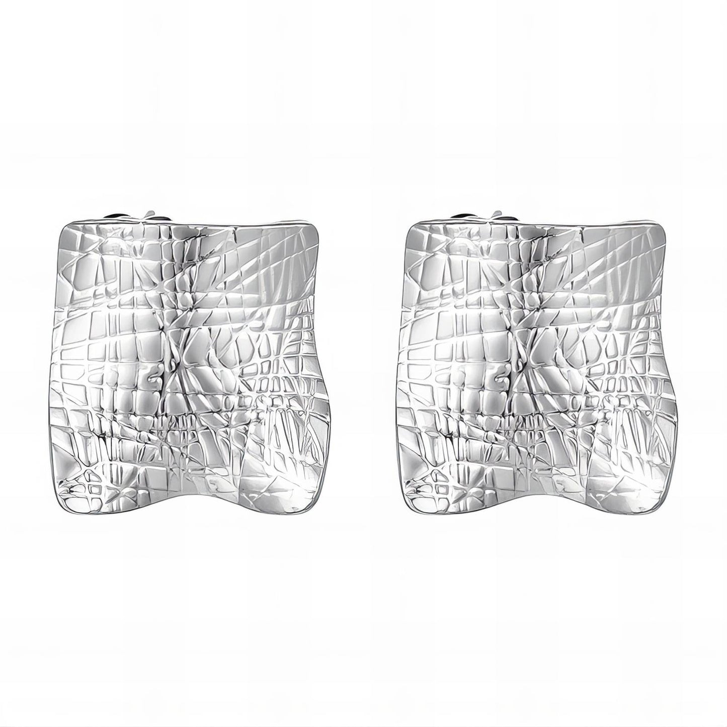 Stainless steel earrings