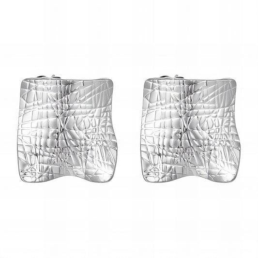 Stainless steel earrings