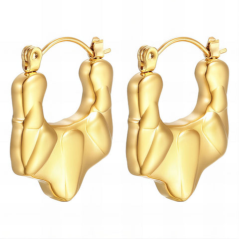 18K gold plated Stainless steel earrings
