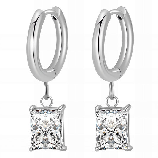 Stainless steel earrings