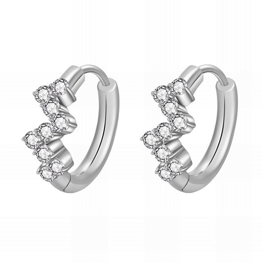 Stainless steel earrings