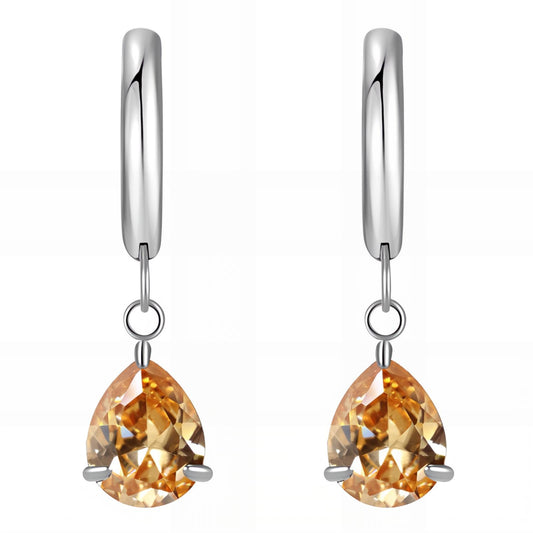 Stainless steel earrings