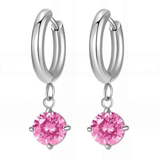 Stainless steel earrings