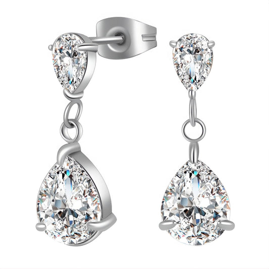 Stainless steel earrings